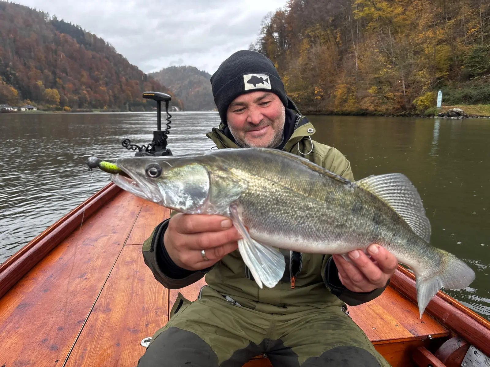 Fishing guide Juergen with a pike-perch catch in autumn on the Danube