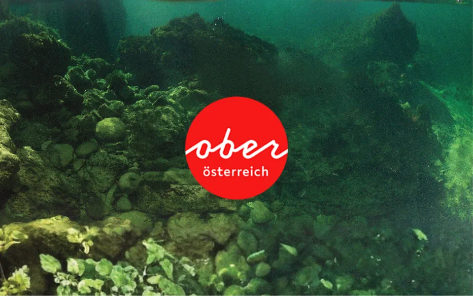Oberösterreich Tourismus – Offizielles Tourismusportal für Urlaub und Ausflüge in Oberösterreich