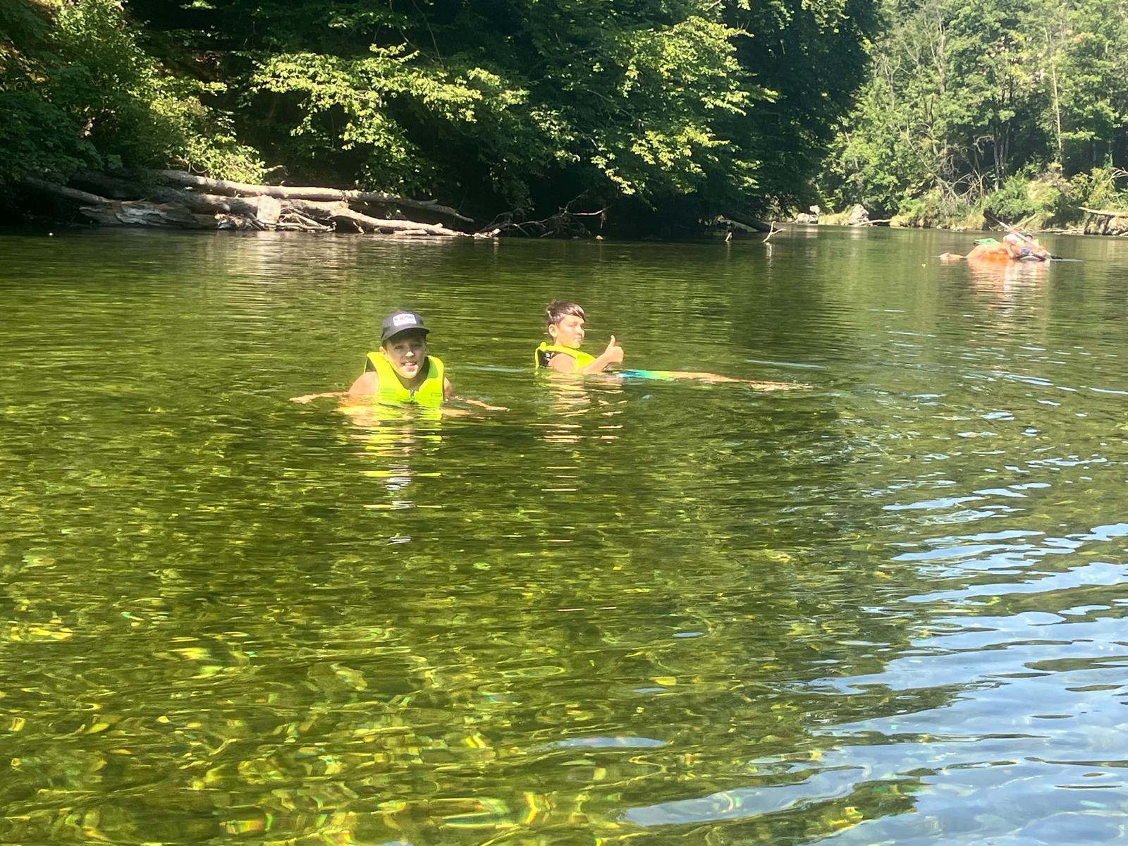 Silent riparian landscape on the Traun with old deciduous trees