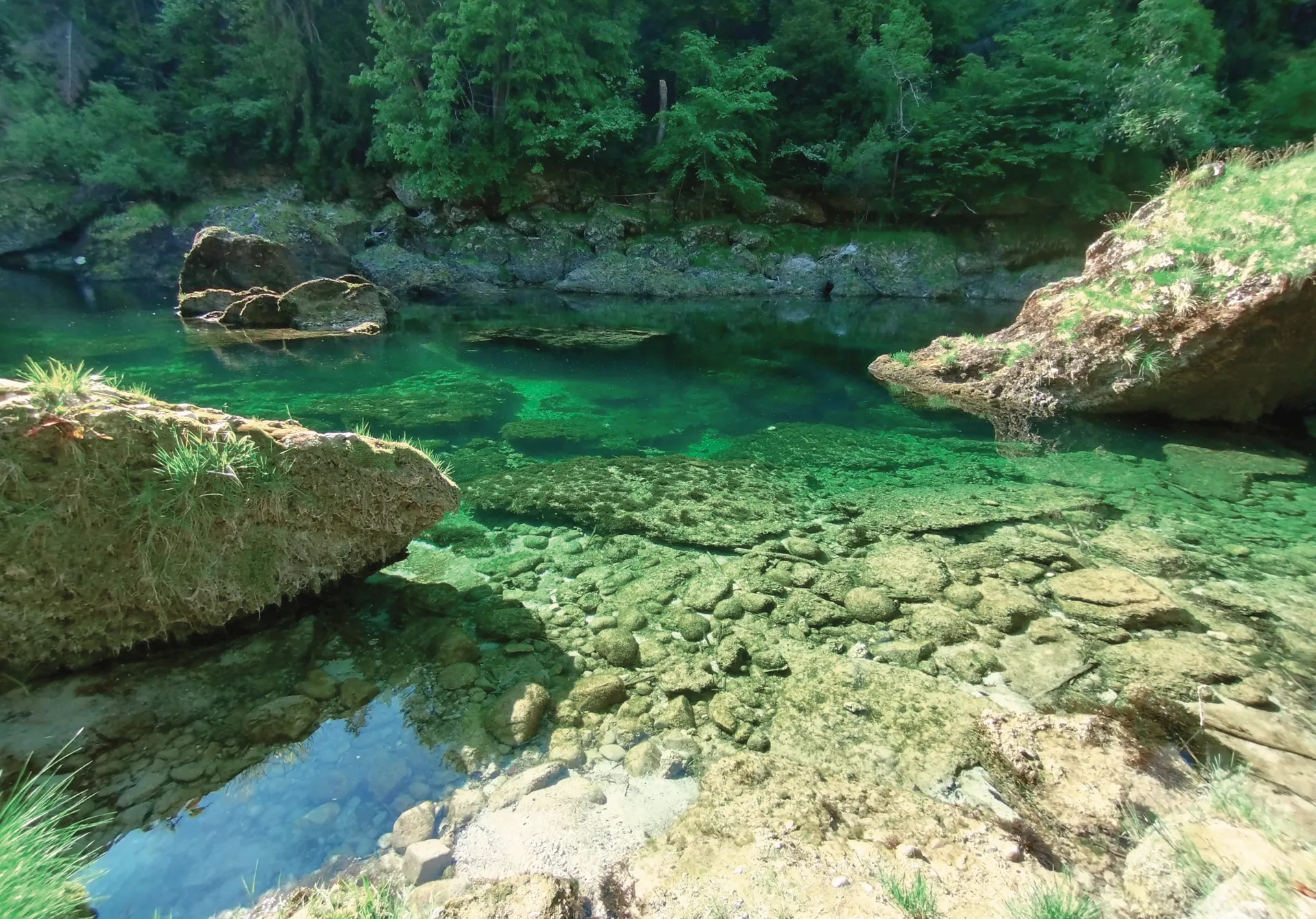 Kristallklares smaragdgrünes Wasser zwischen Felsen in der Traunschlucht
